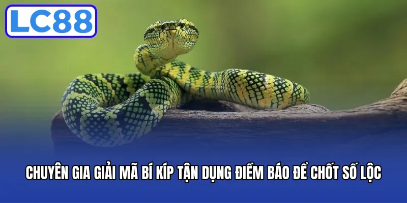 Chuyên gia giải mã bí kíp tận dụng điềm báo để chốt số lộc