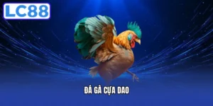 Đá Gà Cựa Dao - Khám Phá Luật Chơi Và Mẹo Cược Tại LC88