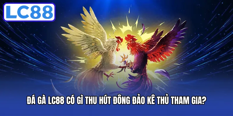 Đá gà LC88 có gì thu hút đông đảo kê thủ tham gia?