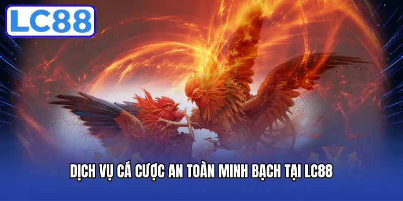 Dịch vụ cá cược an toàn minh bạch tại LC88