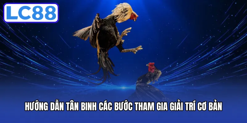 Hướng dẫn tân binh các bước tham gia giải trí cơ bản