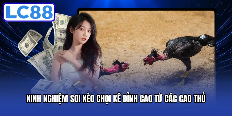 Kinh nghiệm soi kèo chọi kê đỉnh cao từ các cao thủ